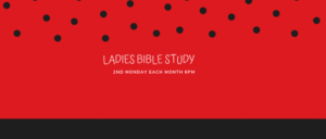 Read more about the article LADIES BIBLE STUDY